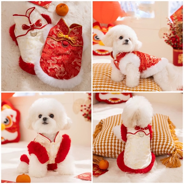 Hipi - Áo cổ tàu viền lông họa tiết rồng vàng