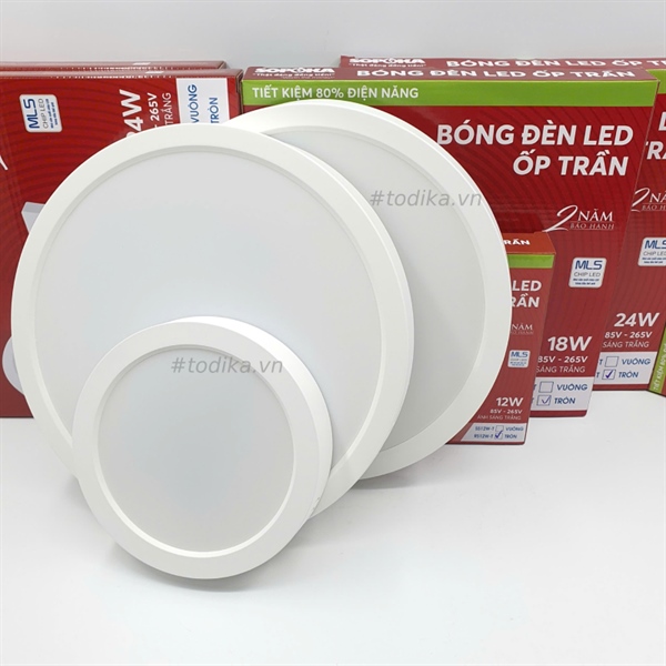 Bóng đèn LED ốp trần nhựa tròn 12W RS12W-T