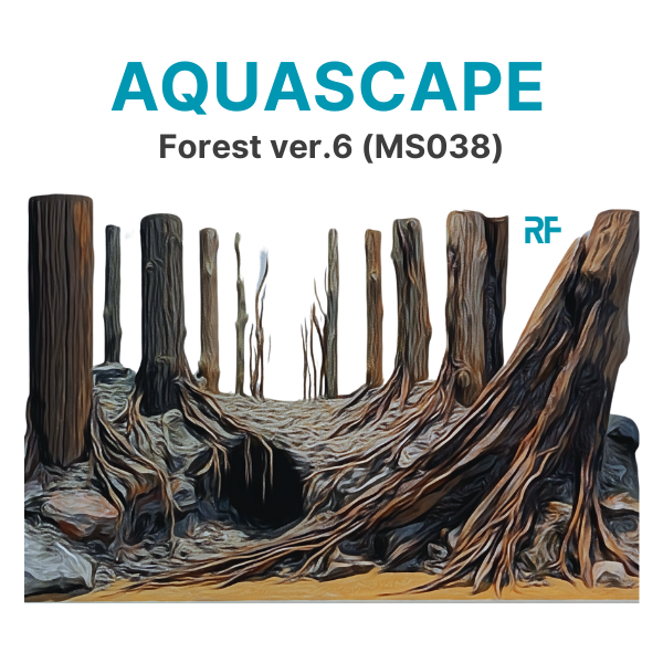 Rừng ver.6 (Ms038)