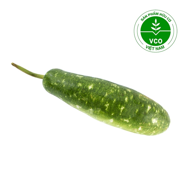 Bầu Xanh Hữu cơ (Trái 500-600 g)