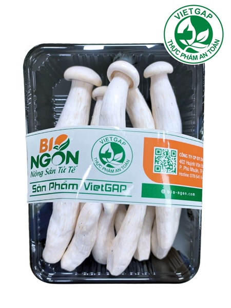 Nấm kim phúc (Hộp 200 g)
