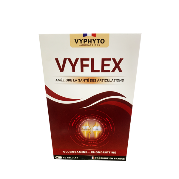 VYFLEX (Hộp 4 vỉ x 15 viên) (Hỗ trợ tốt cho khớp) - Pháp/Vyphyto