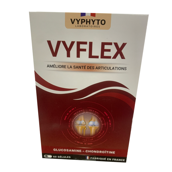 VYFLEX (Hộp 4 vỉ x 15 viên) (Hỗ trợ tốt cho khớp) - Pháp/Vyphyto 2