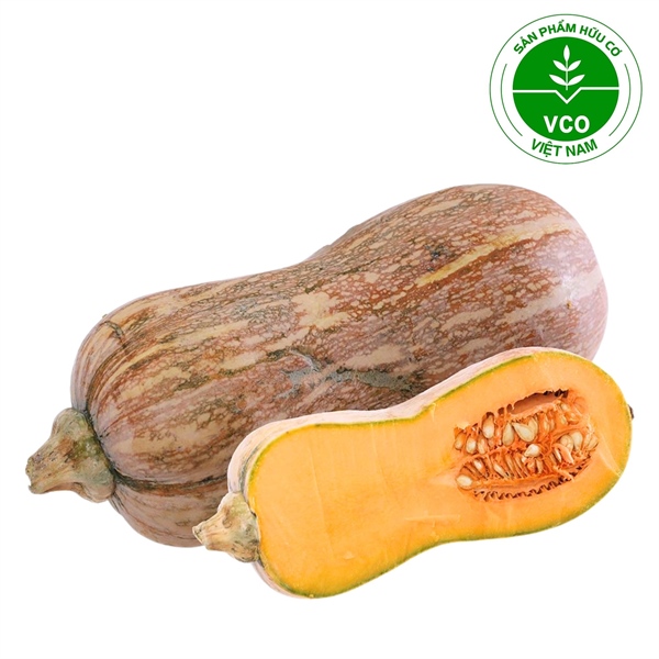 Bí đỏ hồ lô hữu cơ (Trái 600-700 g)