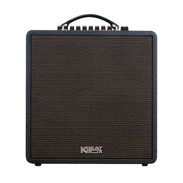 Loa acnos Quad 64V2