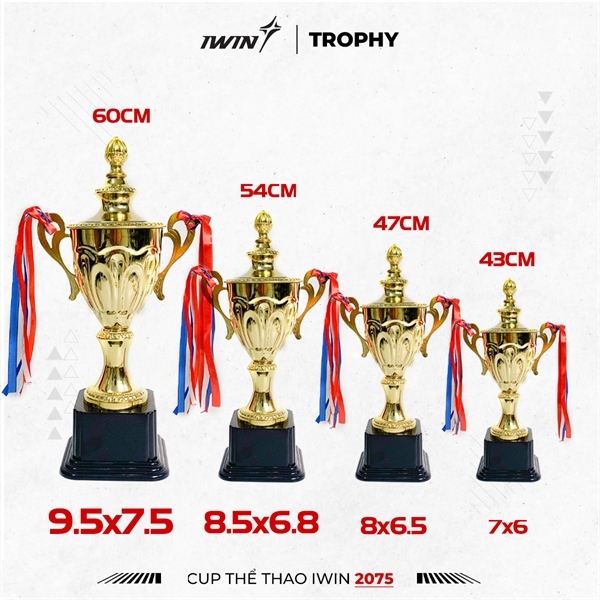 Cúp Iwin 2075