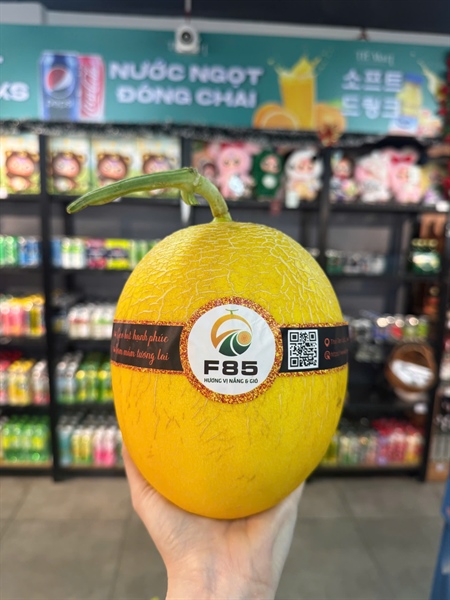 Dưa lưới vàng - Melon