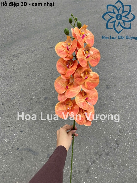 Hồ điệp 3D - cam nhạt - Hồ điệp, lan - Hoa Lụa Vân Vượng