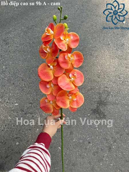 Hồ điệp cao su 9b A - cam - Hồ điệp, lan - Hoa Lụa Vân Vượng