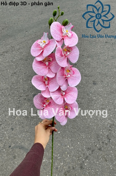 Hồ điệp 3D - Phấn gân - Hồ điệp, lan - Hoa Lụa Vân Vượng