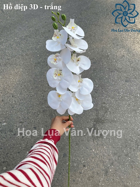 Hồ điệp 3D - Trắng - Hồ điệp, lan - Hoa Lụa Vân Vượng