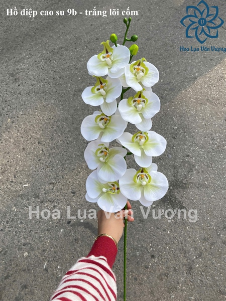 Hồ điệp cao su 9b - trắng lõi cốm - Hồ điệp, lan - Hoa Lụa Vân Vượng