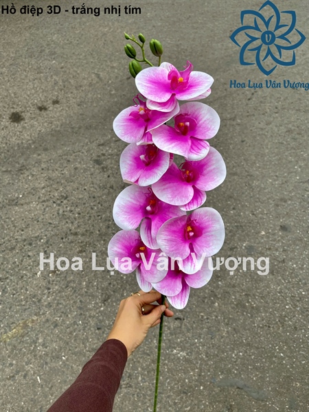 Hồ điệp 3D - trắng nhị tím - Hồ điệp, lan - Hoa Lụa Vân Vượng