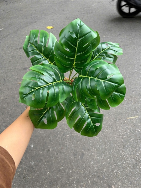Cụm lá 9 - rách xanh tuyền to - Lá cành ngắn - Hoa Lụa Vân Vượng