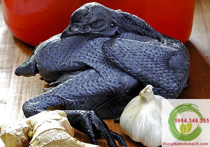 Gà ác size L(600~800gr)