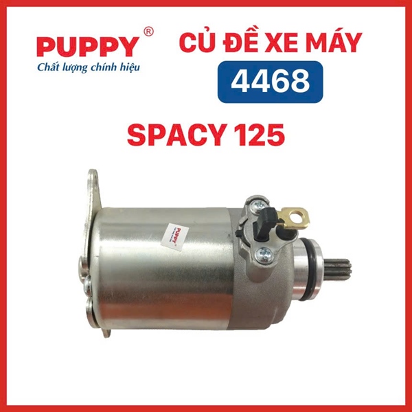 Củ đề Spacy 125 (PUPPY) [ 4468 ]