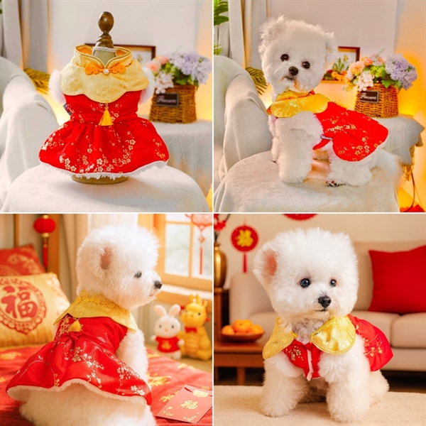 PC - Váy lót lông cổ tàu phối màu vàng đỏ