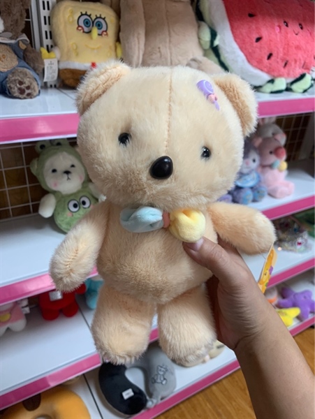 Gấu bông đủ mẫu 25cm