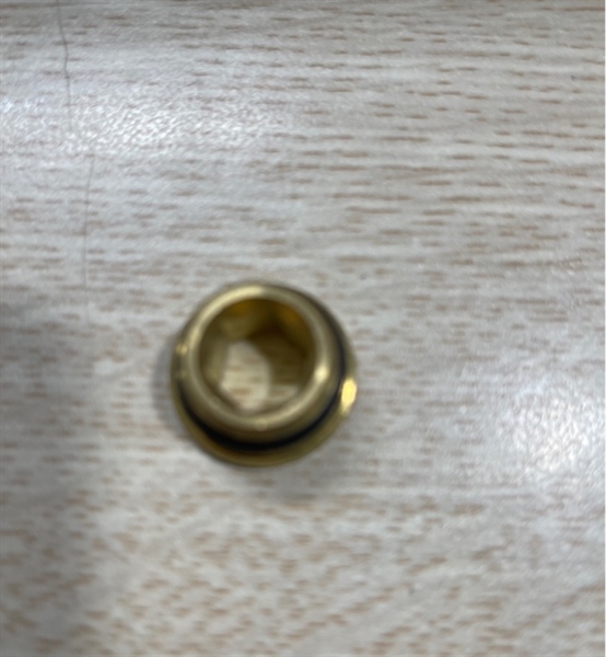 Con sò sen (ốc lắp trong chân sen)