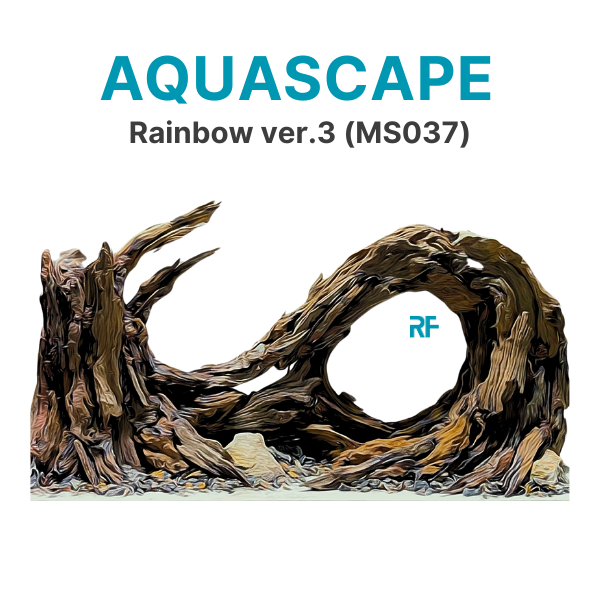 Cầu Vồng ver.3 (Ms037)