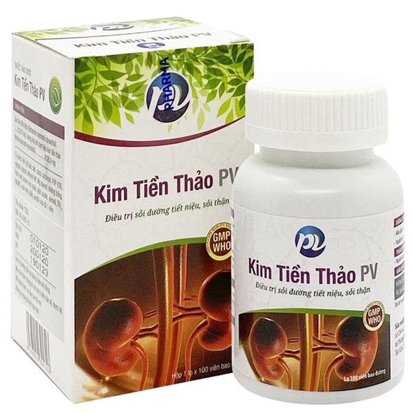 Kim tiền thảo pv (h/100v)