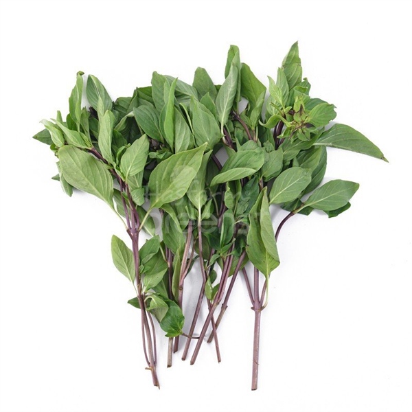 RAU HUNG QUE (0.5KG/GÓI · 16 GÓI/KIỆN)