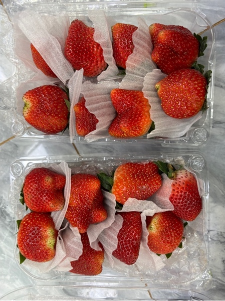 Dâu Mộc Châu Hộp 500g