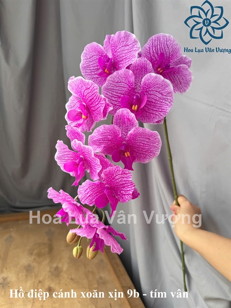 Hồ điệp cánh xoăn xịn 9b - tím vân - Hồ điệp, lan - Hoa Lụa Vân Vượng