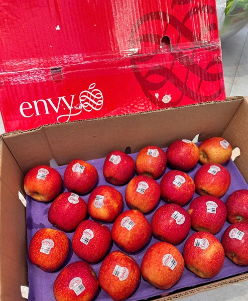 Táo Envy Size 70 Newzealand
