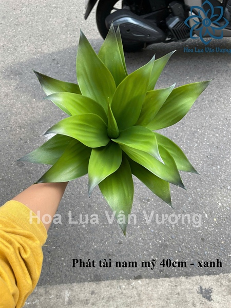 Phát tài nam mỹ 40cm - xanh - Cây - Hoa Lụa Vân Vượng
