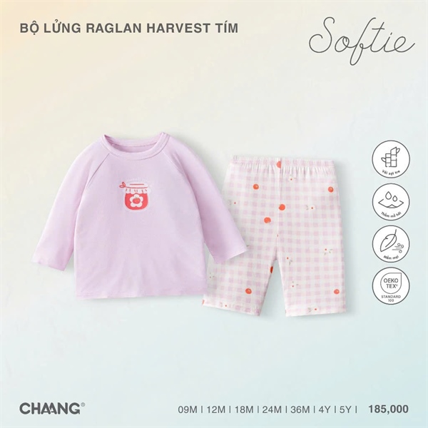 GS1525 - 9M/5Y Bộ lửng raglan Harvest