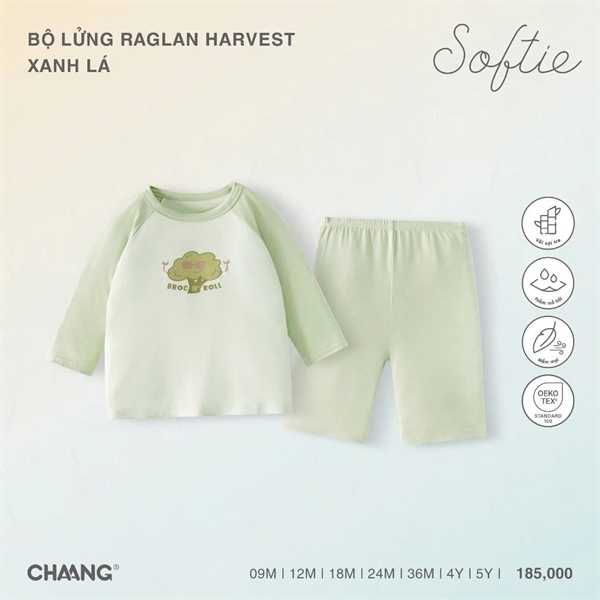 BS1525 - 9M/5Y Bộ lửng raglan Harvest