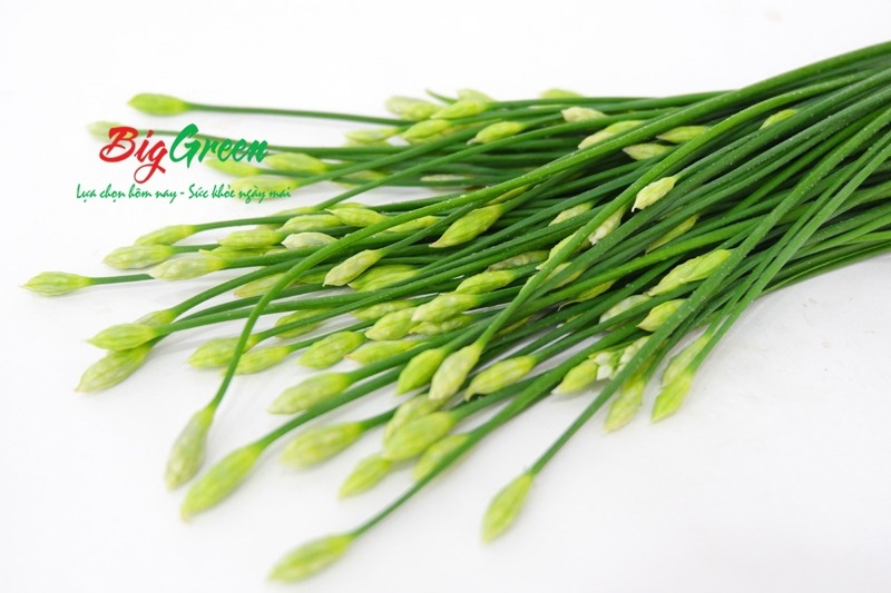 Bông hẹ tươi miền Tây