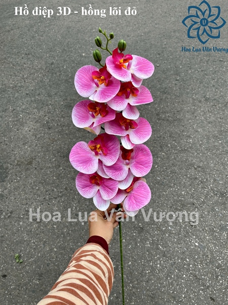 Hồ điệp 3D - hồng lõi đỏ - Hồ điệp, lan - Hoa Lụa Vân Vượng