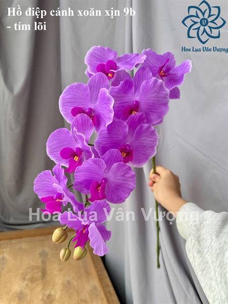 Hồ điệp cánh xoăn xịn 9b - tím lõi - Hồ điệp, lan - Hoa Lụa Vân Vượng