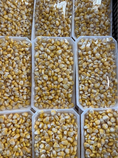 Bắp Mỹ Đà Lạt - vỉ 250g