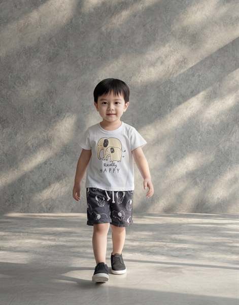 Set 2 chú voi Happy