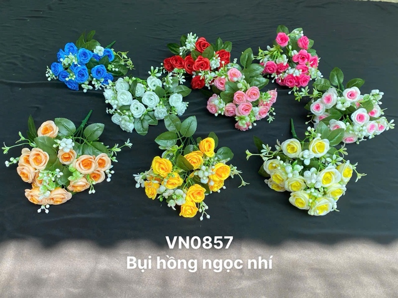 BỤI HỒNG NGỌC NHÍ 5 NHÁNH VN0857