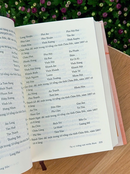 Tự Vị Tiếng Nói Miền Nam – Vương Hồng Sển (Bìa cứng - NXB Trẻ