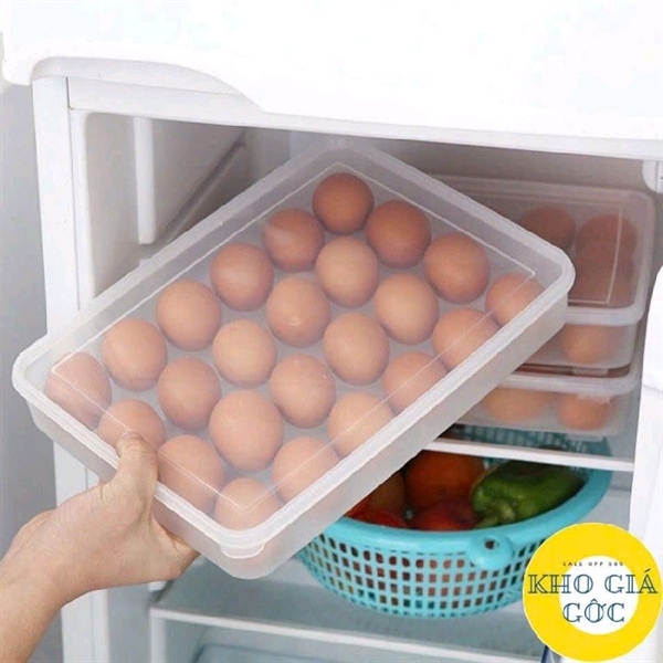 HỘP ĐỰNG TRÚNG 24 NGĂN