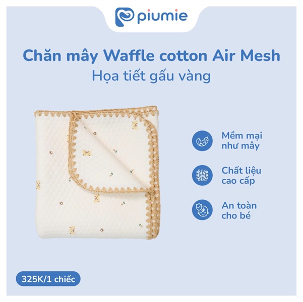 Chăn mây Wafle cotton Air Mesh HT gấu vàng