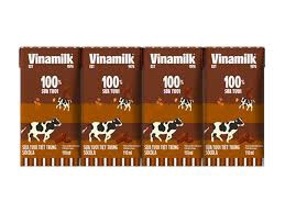 Sữa Tươi Tiệt Trùng ViNaMilk Socola 110ml