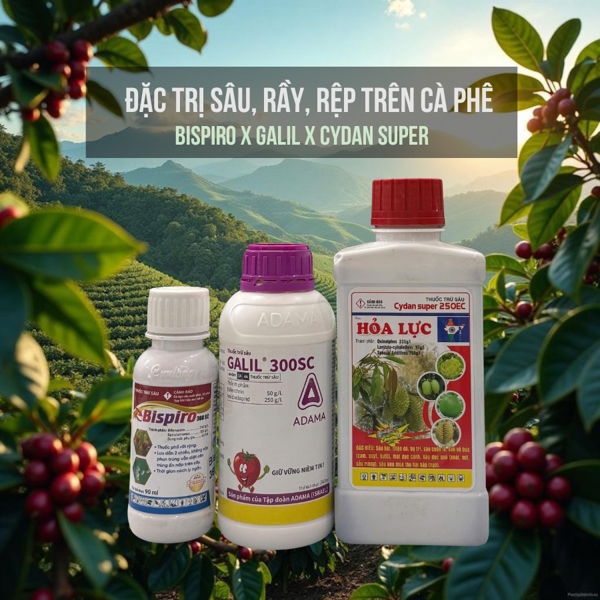 Combo đặc trị sâu, rầy, rệp trên cà phê
