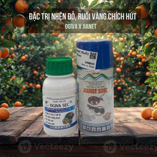 Đặc trị nhện đỏ, ruồi vàng chích hút