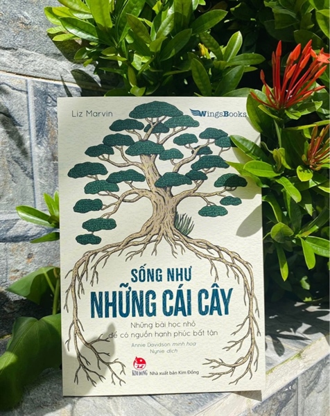 NHỮNG BÀI HỌC NHỎ TỪ THIÊN NHIÊN - Sống như những cái cây