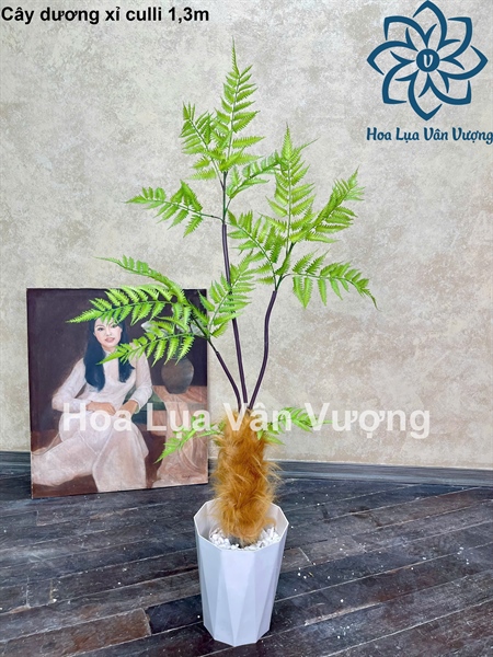Cây dương xỉ culli có chậu - Cây - Hoa Lụa Vân Vượng