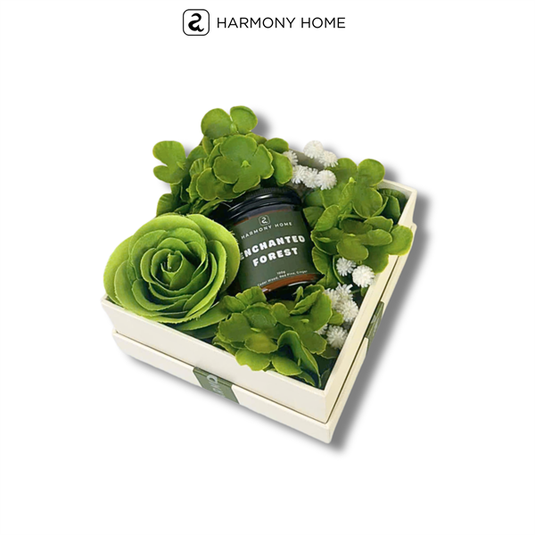 Bộ Quà Tặng Nến Thơm Màu Xanh Lá - Mùi Ngẫu Nhiên