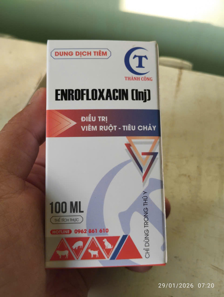 TC ENROFLOXACINE 100ml