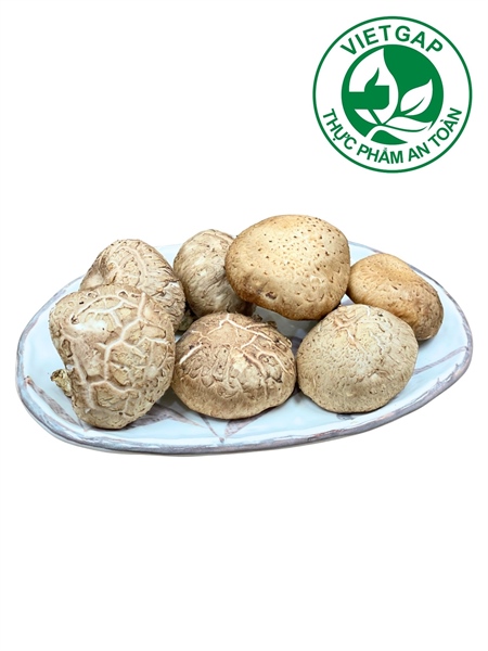 Nấm Đông Cô tươi ( Hộp 100 g)