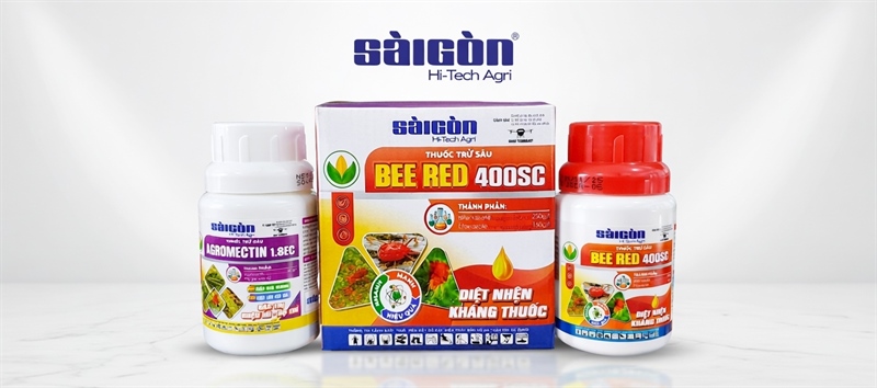 BỘ NHỆN ĐỎ 100ML CẶP 1 PHUY